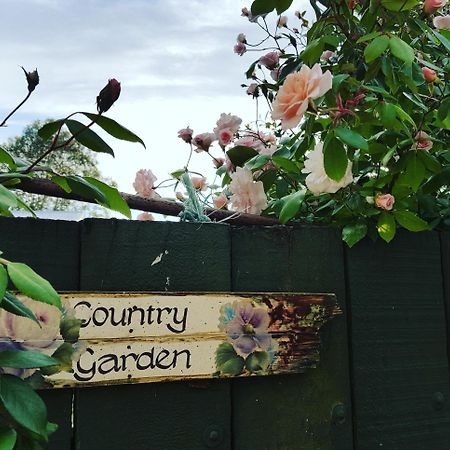 Dragonflycottagebnb Grovetown ภายนอก รูปภาพ