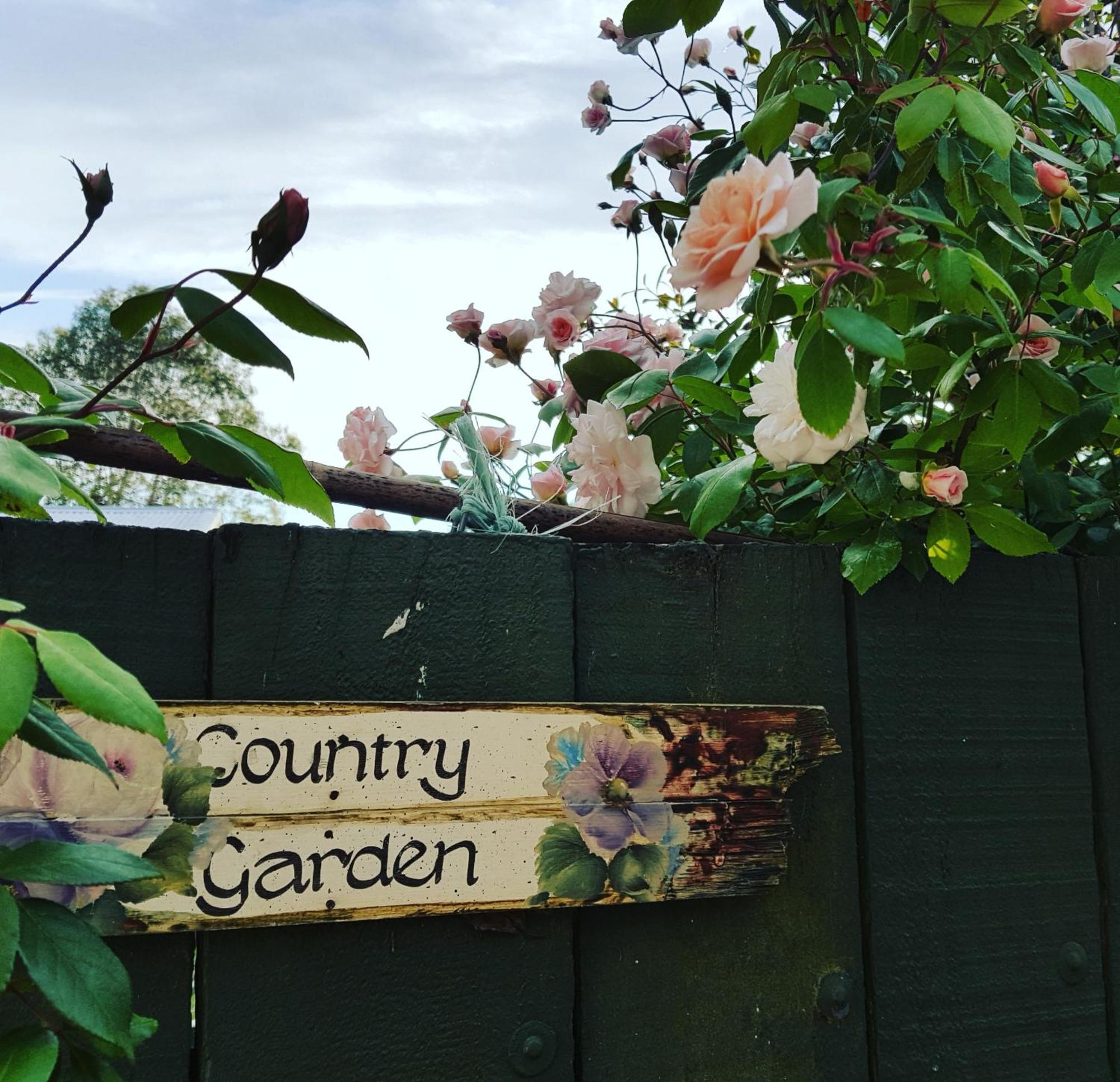 Dragonflycottagebnb Grovetown ภายนอก รูปภาพ